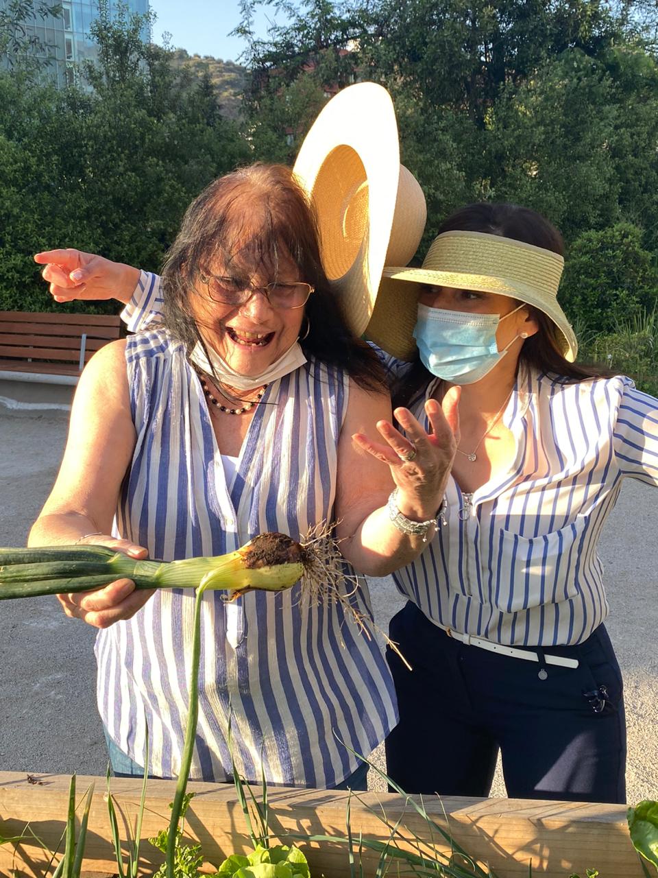 Servicio de Acompañamiento